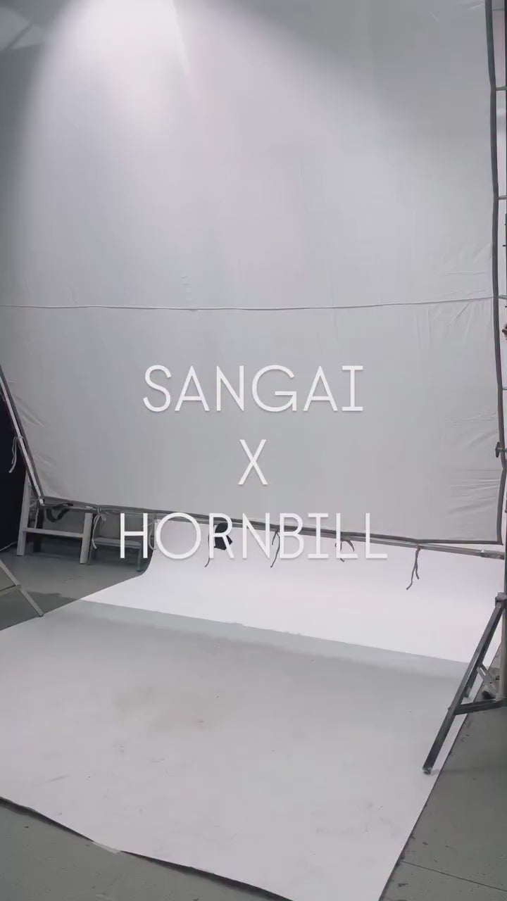 sangaistore.india-DSXjNBmArYo.mp4